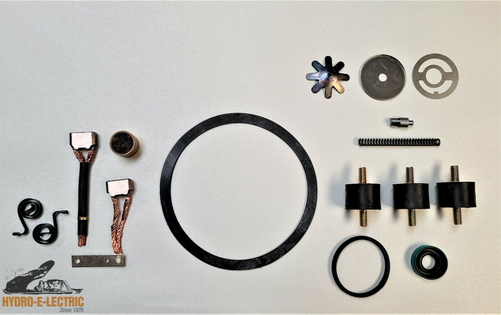 Power Window or Convertible Top Dura Autolite Firewall Pump Rebuild Kit